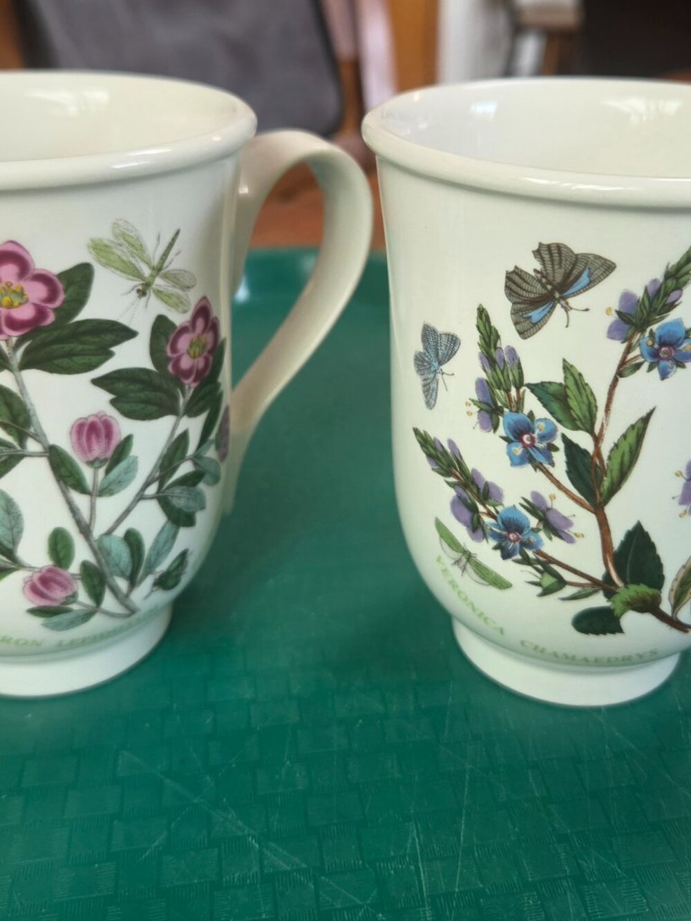 Portmeirion botanic garden ceramic mugs floral motifs set of two
